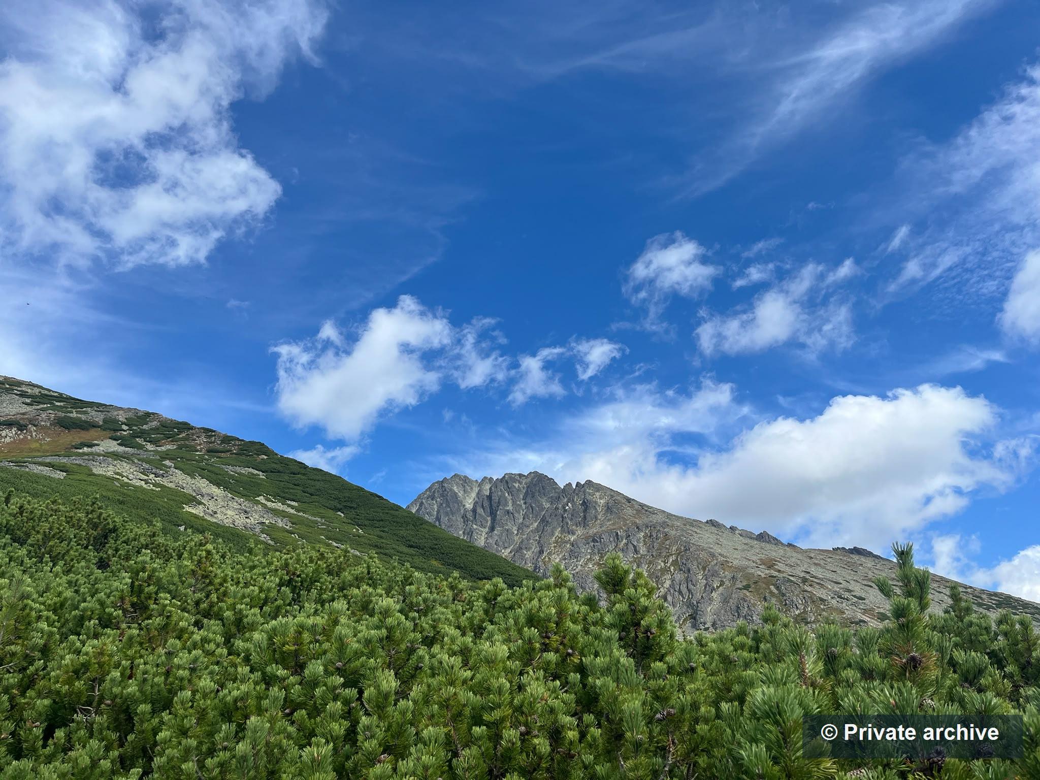 Tatra slopes with dwarf pine and blue sky